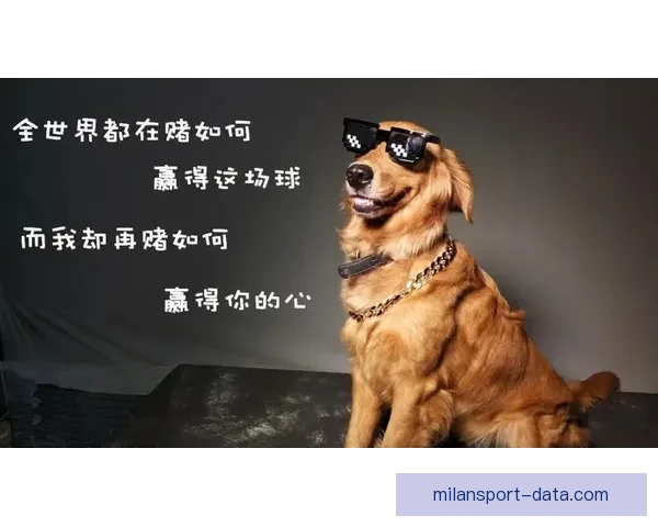 2026世界杯买球推荐解析 提前布局赢得更多机会